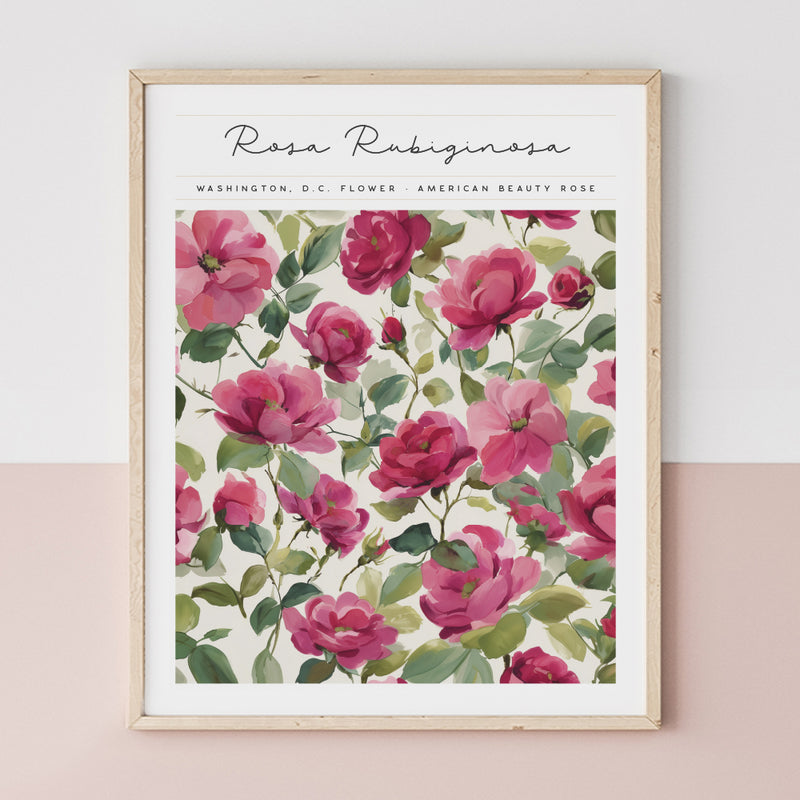 washington dc art print