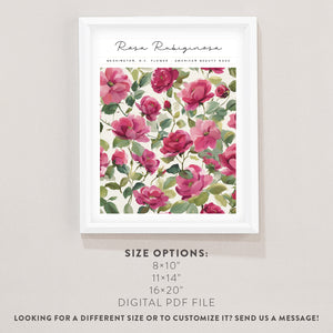 washington dc wall art