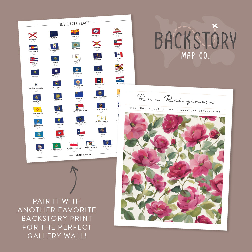 washington dc posters