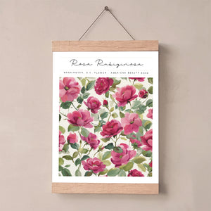 washington dc art print