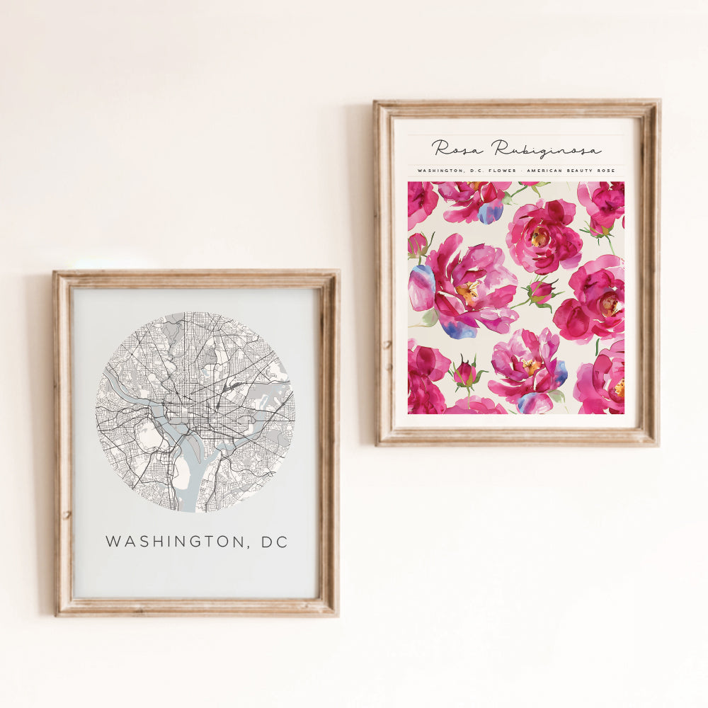 washington dc posters