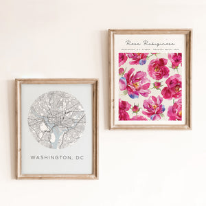 washington dc posters