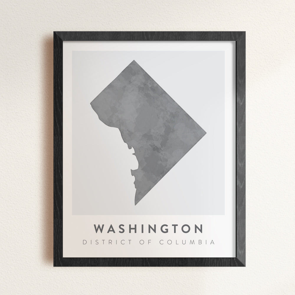 washington dc poster
