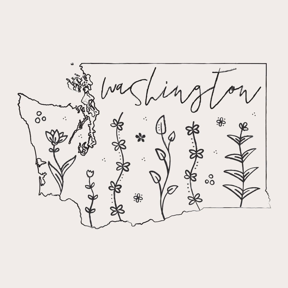 washington state outline