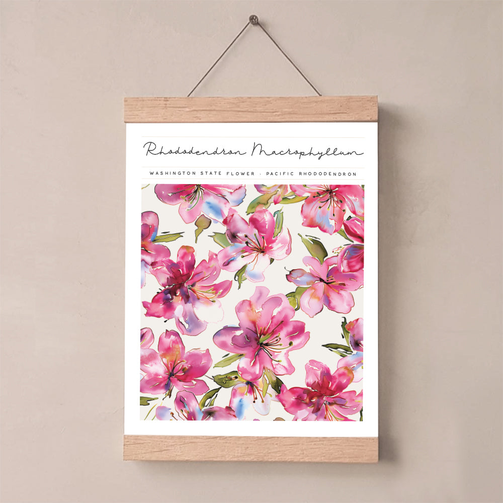 washington state flower pacific rhododendron