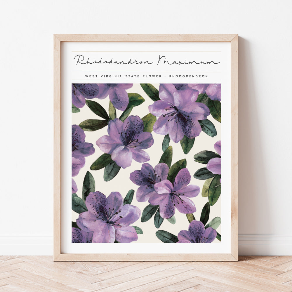 west virginia state flower rhododendron