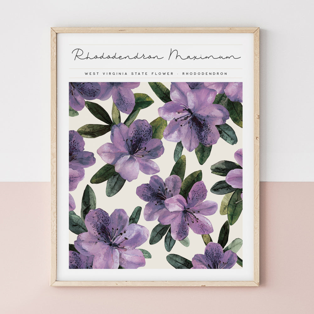 west virginia poster