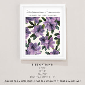 west virginia poster