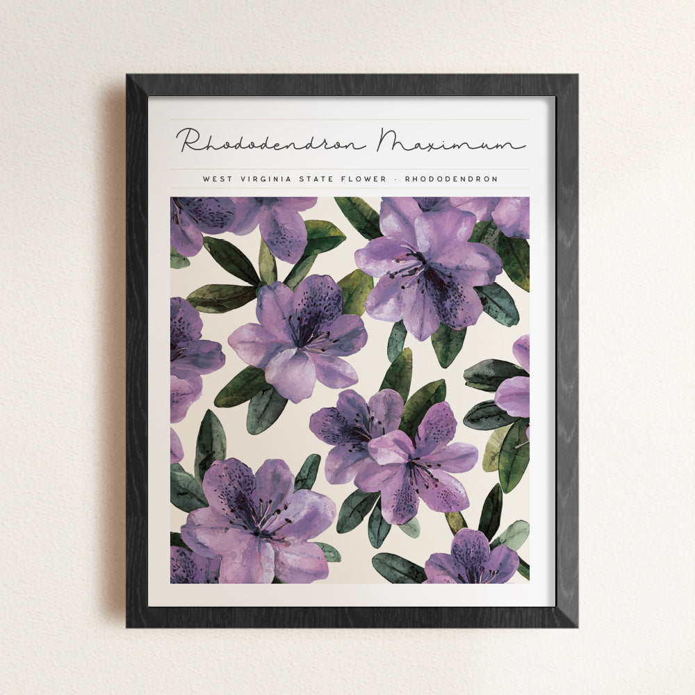 west virginia poster