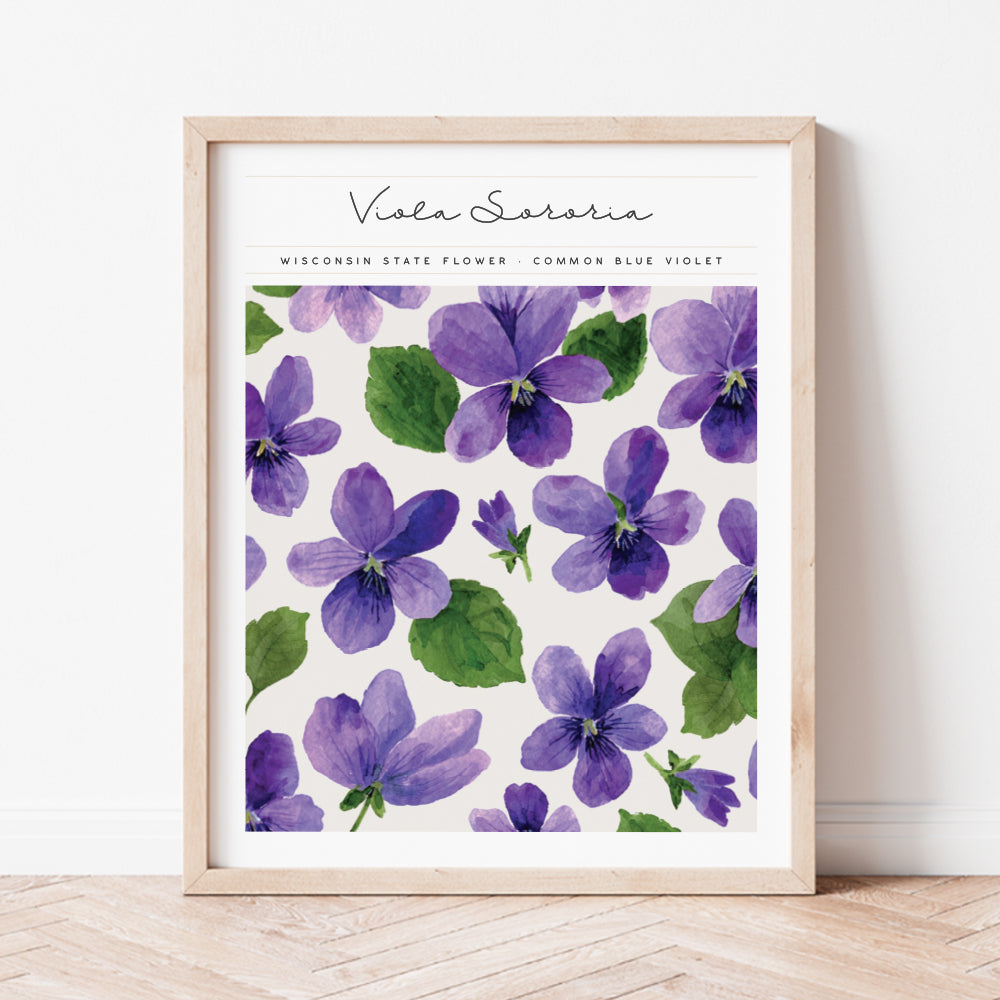 wisconsin state flower violet