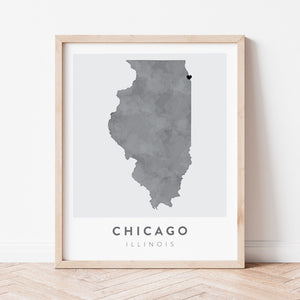 chicago illinois