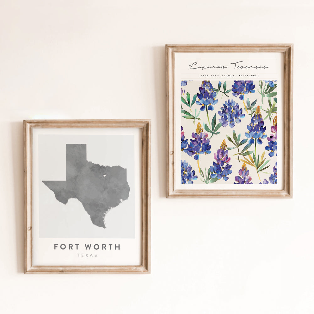 Fort Worth, Texas Map | Backstory Map Co.