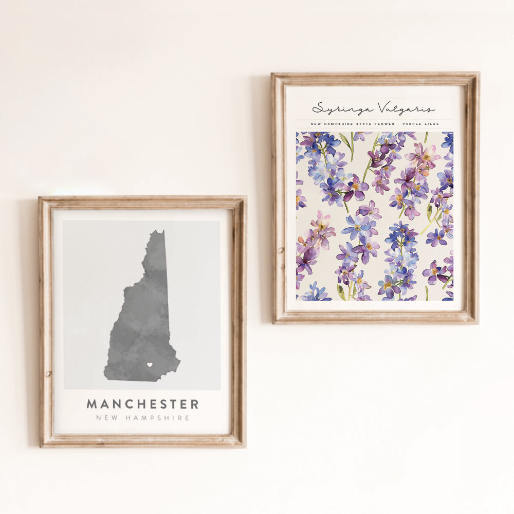 new hampshire state flower