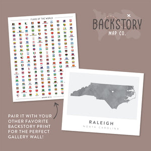 raleigh map poster