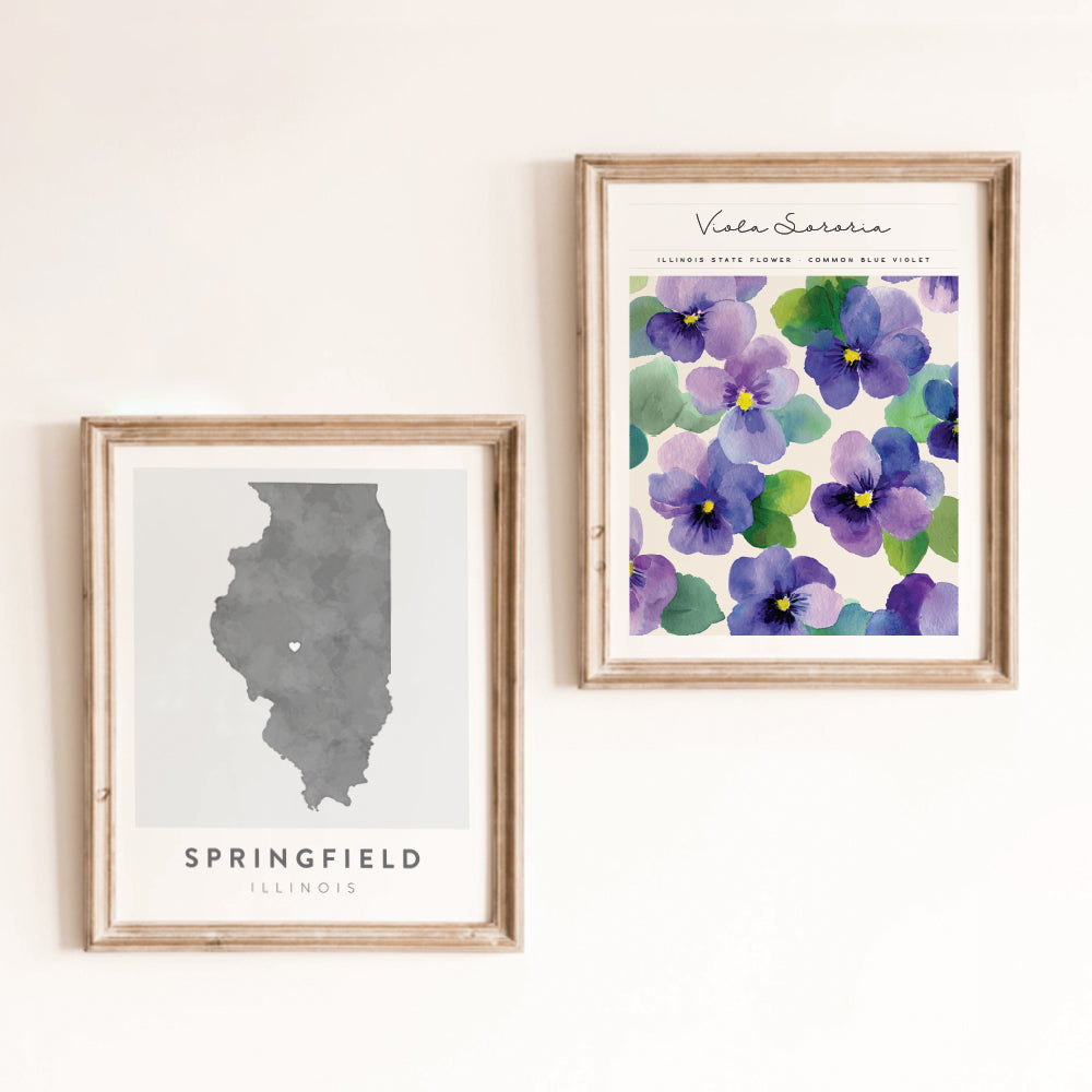 illinois wall art