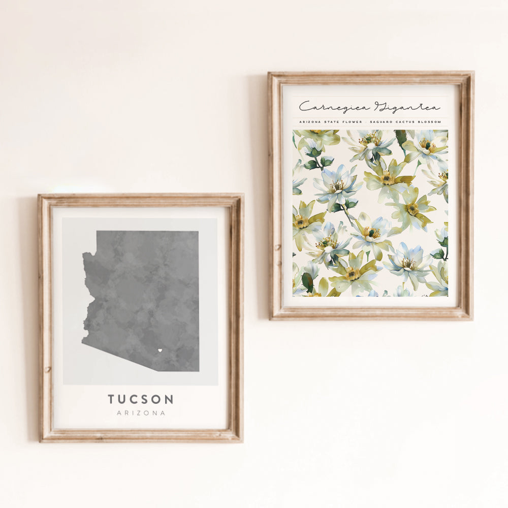 Tucson, Arizona Map | Backstory Map Co.