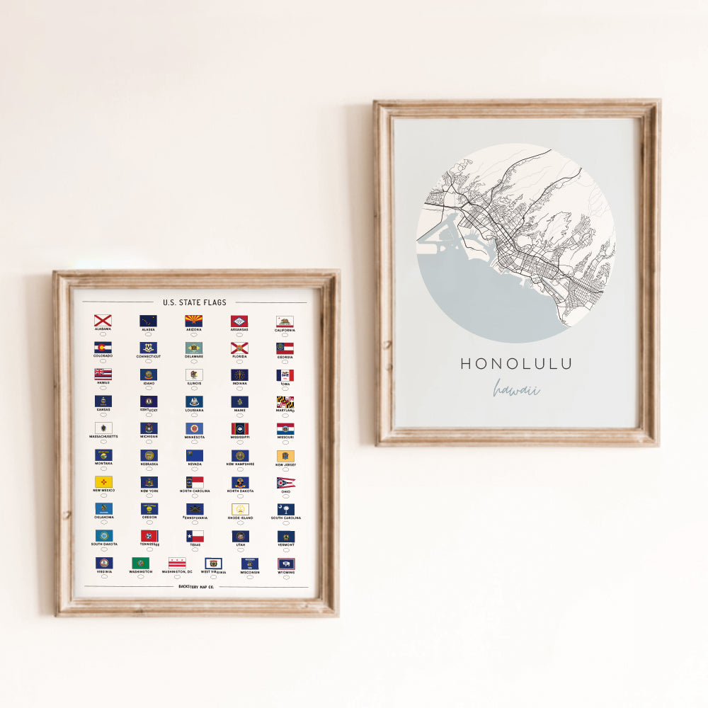 us states flags poster